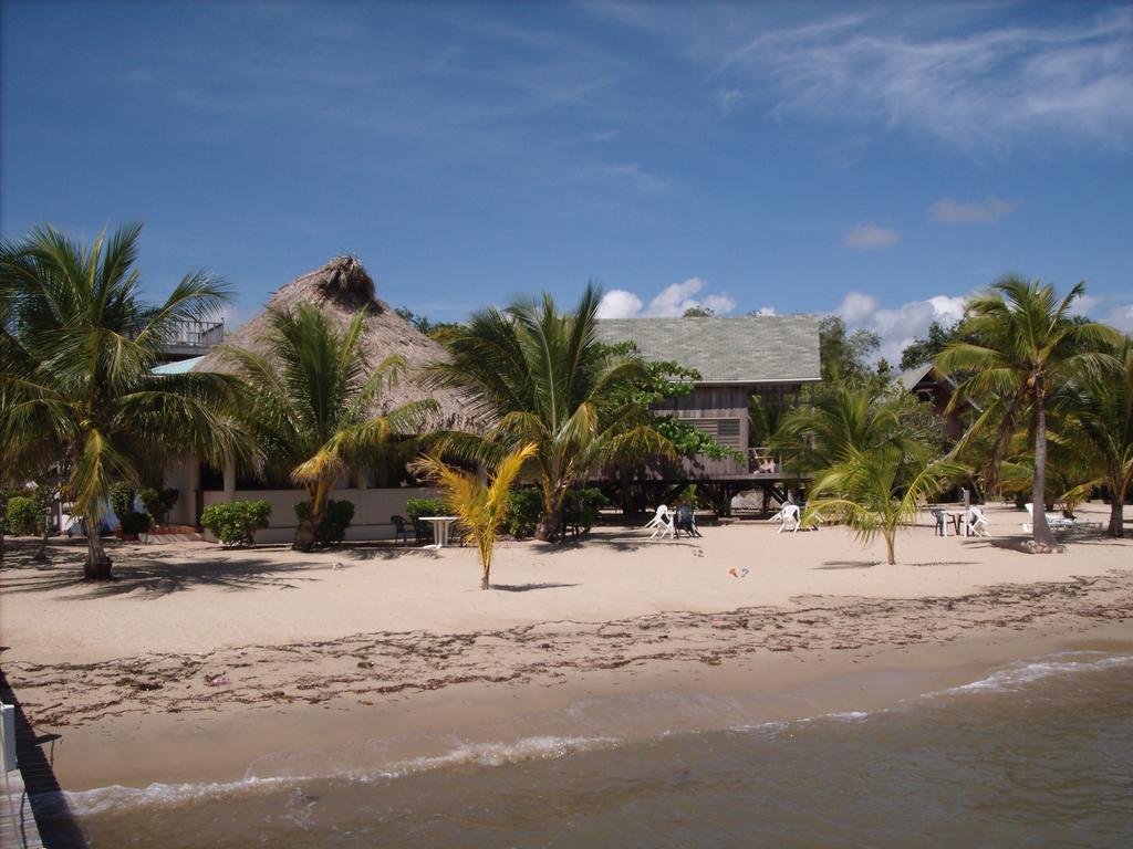 Green Parrot Beach Houses And Resort Placencia Exterior foto