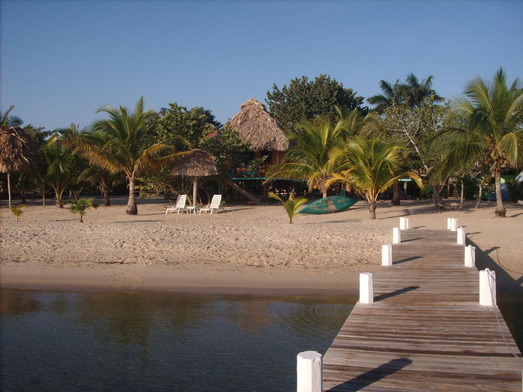 Green Parrot Beach Houses And Resort Placencia Exterior foto