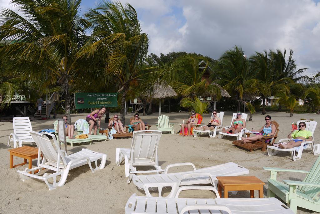 Green Parrot Beach Houses And Resort Placencia Exterior foto