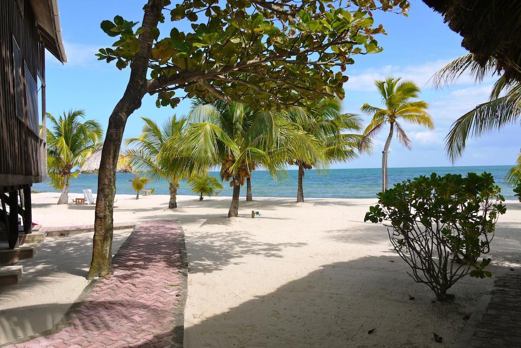 Green Parrot Beach Houses And Resort Placencia Exterior foto