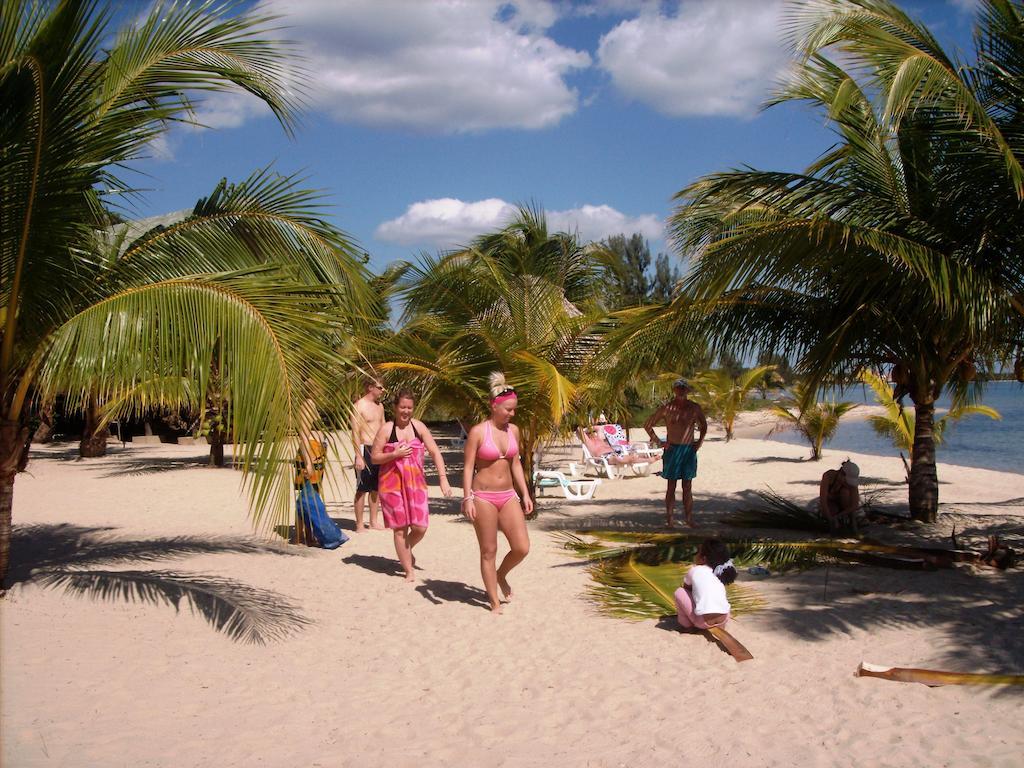 Green Parrot Beach Houses And Resort Placencia Exterior foto