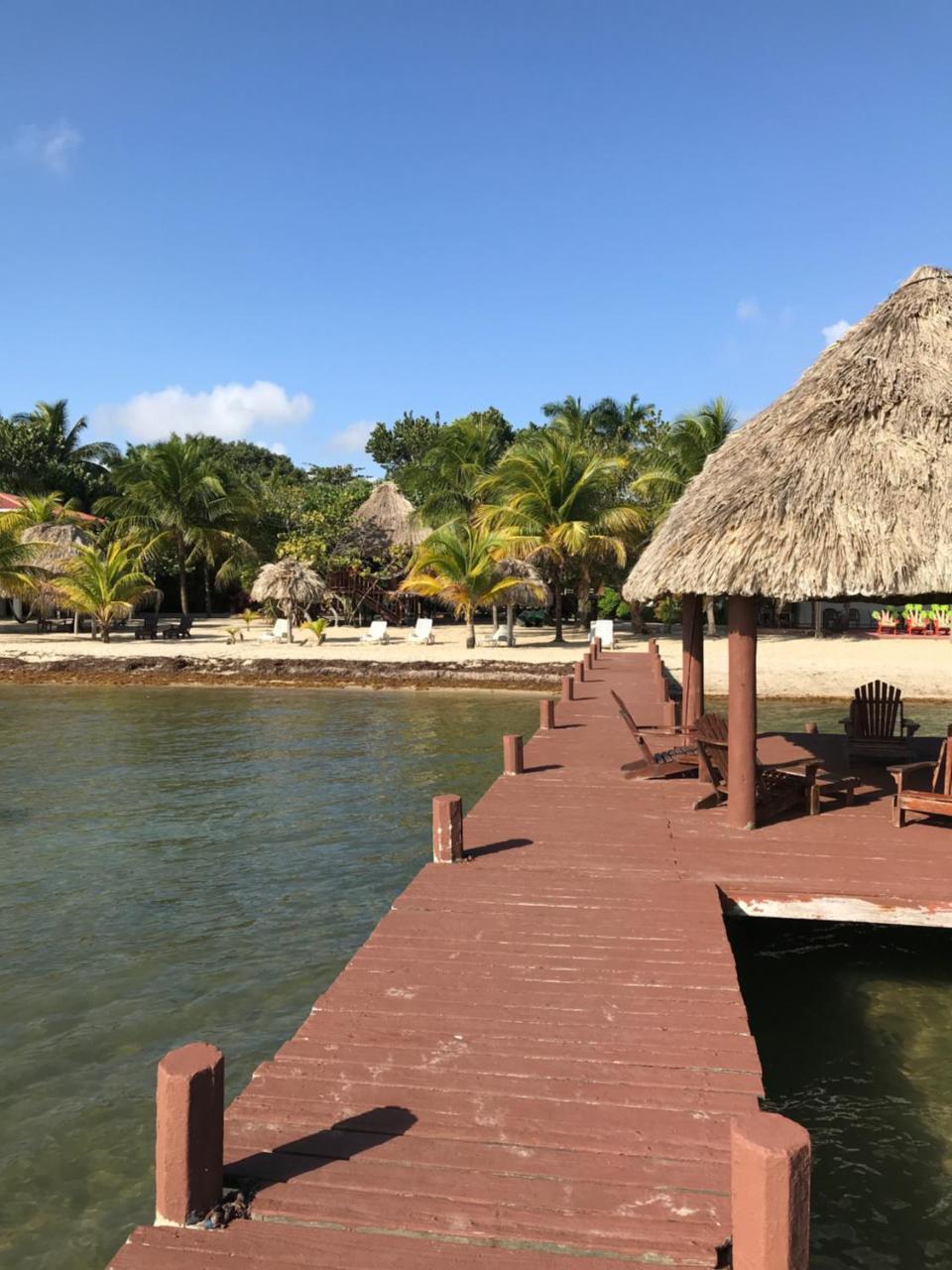 Green Parrot Beach Houses And Resort Placencia Exterior foto