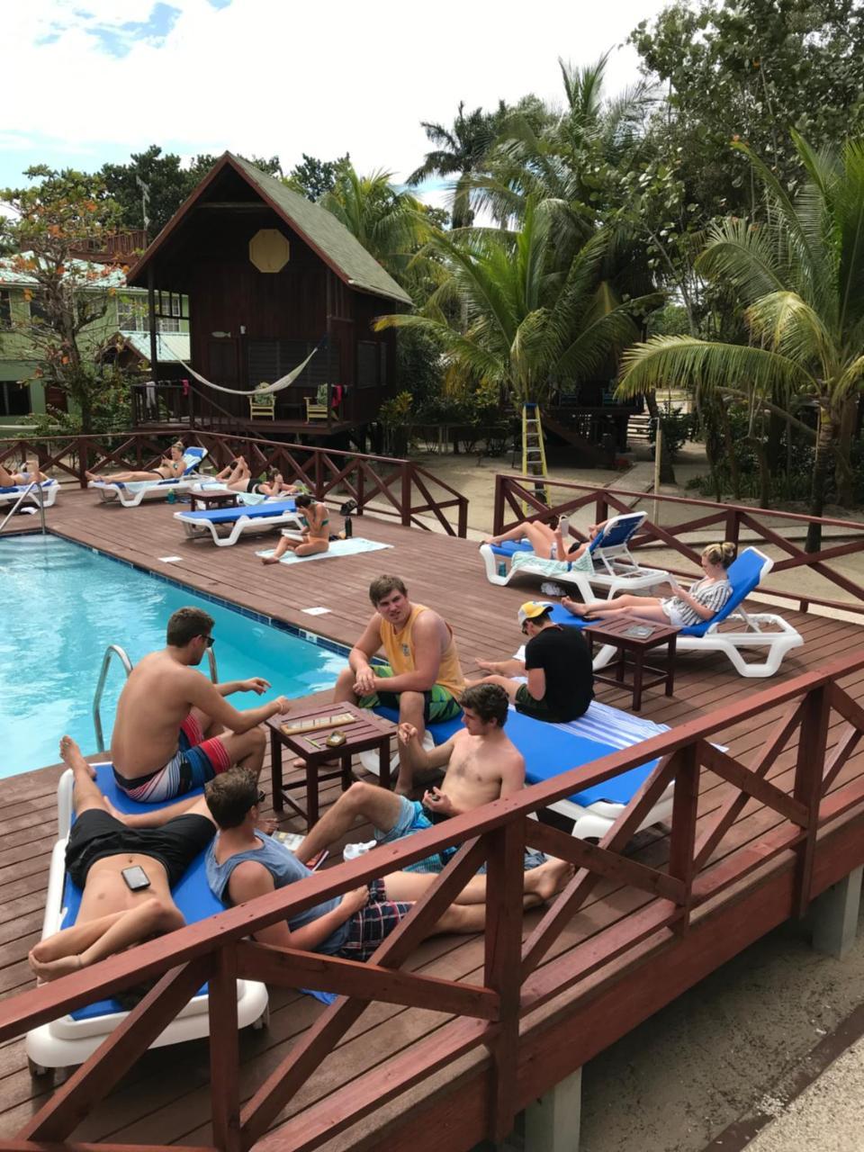 Green Parrot Beach Houses And Resort Placencia Exterior foto